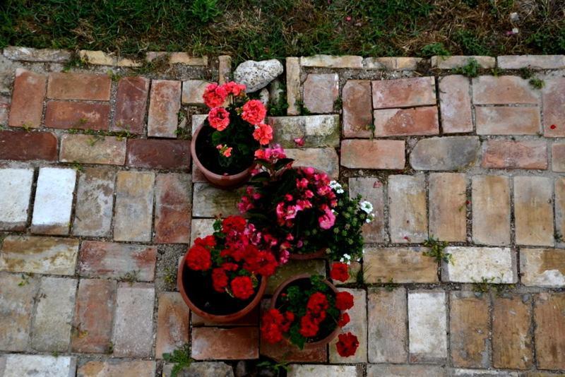 B&B Casale Fonte Vecchia 몬테프란도네 외부 사진