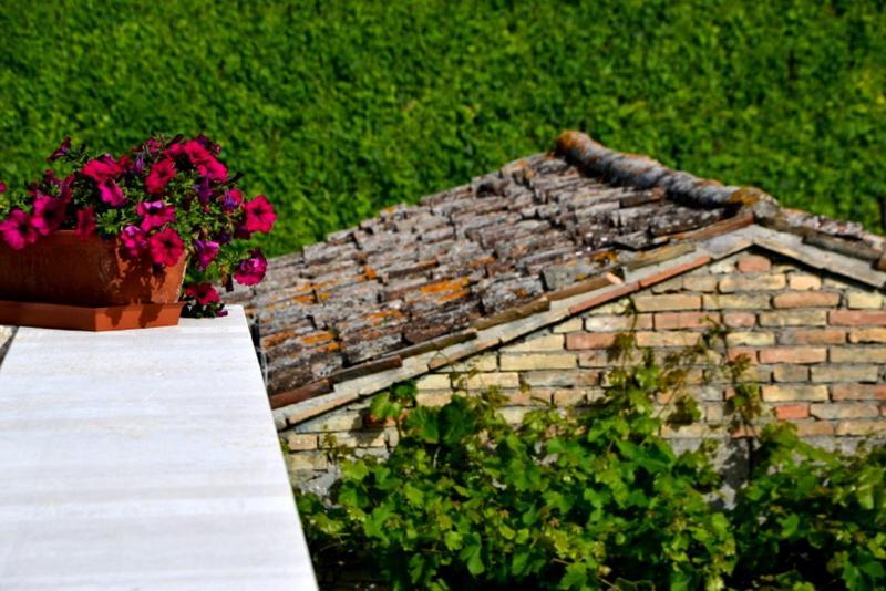 B&B Casale Fonte Vecchia 몬테프란도네 외부 사진