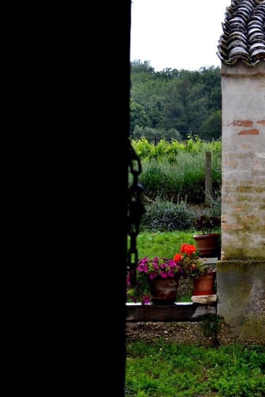 B&B Casale Fonte Vecchia 몬테프란도네 외부 사진